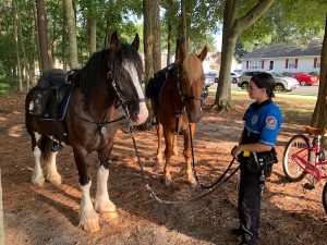 Horses from Police